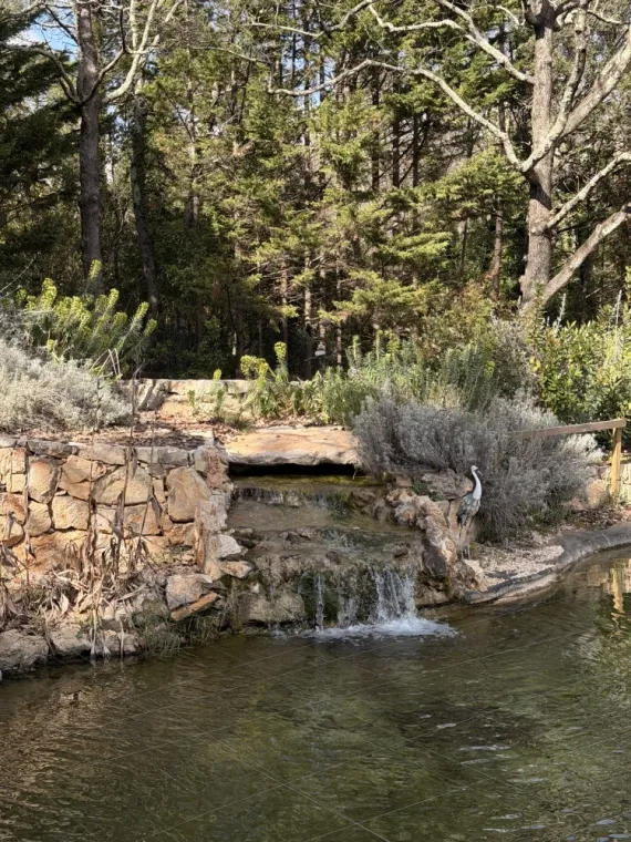 Conception de cascade artificielle, Fayence, GHAFFARI Rénovation