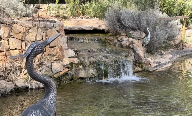 Conception de cascade artificielle, Fayence, GHAFFARI Rénovation